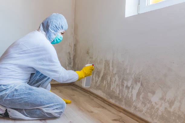 Hvac And Air Duct Mold Remediation inspection of HVAC system in Belleair Beach